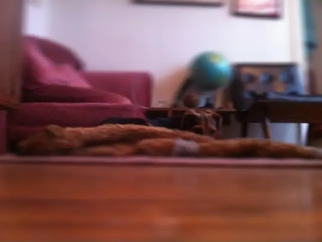 This picture is taken inside a room and its bit blurry. There is couch in the room and beside it...