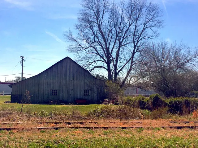 In this image there is a grassland on that land there is a track, in the background there are...