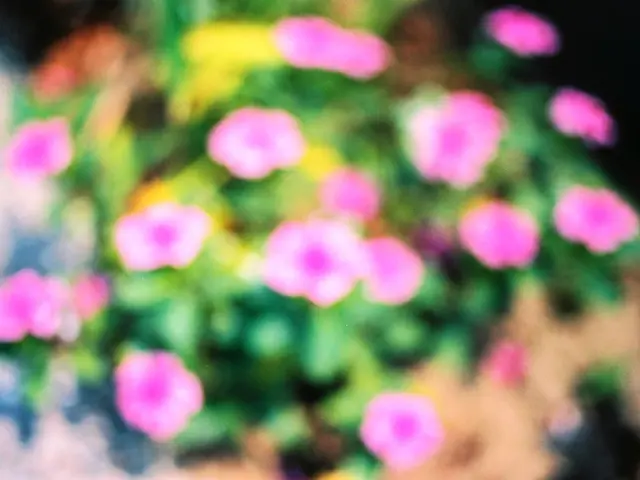 This image looks like a plant with flowers on it.