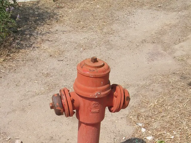 In this image we can see a fire hydrant, There is an object at the left side of the object. There...