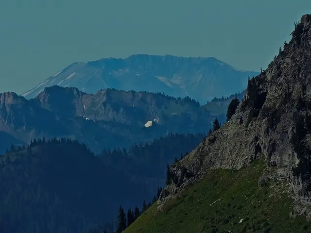 There are mountains and trees.