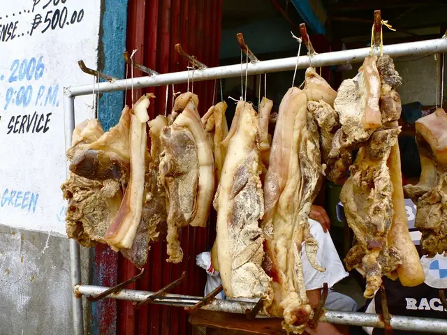 In the image there is meat hanging to a stand and a person standing behind it, on the left side...