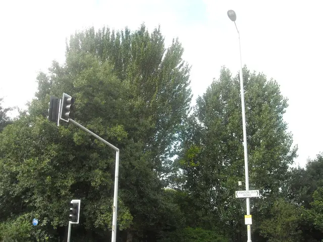 In this picture we can see two poles with traffic signals and there is another pole with a board...
