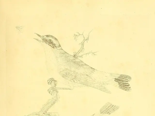 In this picture I can see there is a drawing of the pigeons and the pigeon is sitting on the stem...