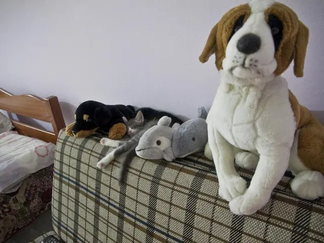 This is the picture of a sofa on which there are some toys placed on it.