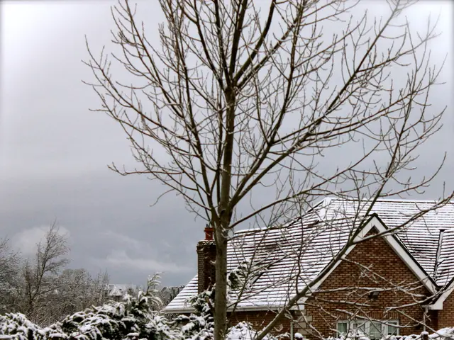 In this picture I can see a house, plants, trees are covered with snow.