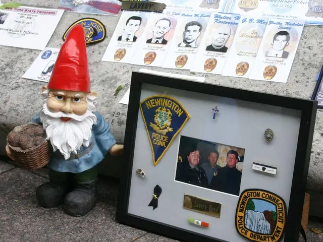 In this image there is a toy Santa Claus, there are badges and a photo in a photo frame, and in the...