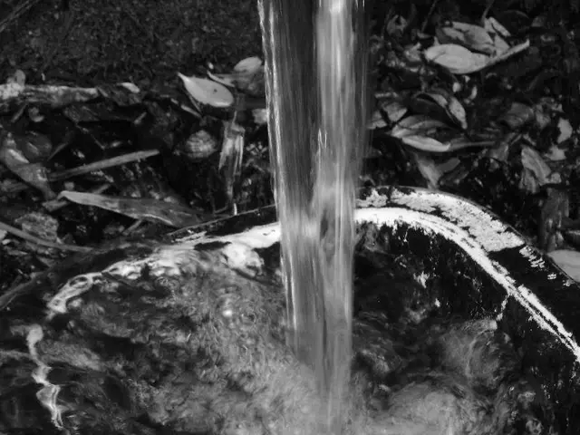 In this image there is water flowing into the pot. Around the pot there are dried leaves and...