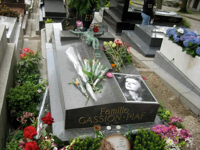 I think this picture was taken in the graveyard. Here is a person standing. These are the plants...