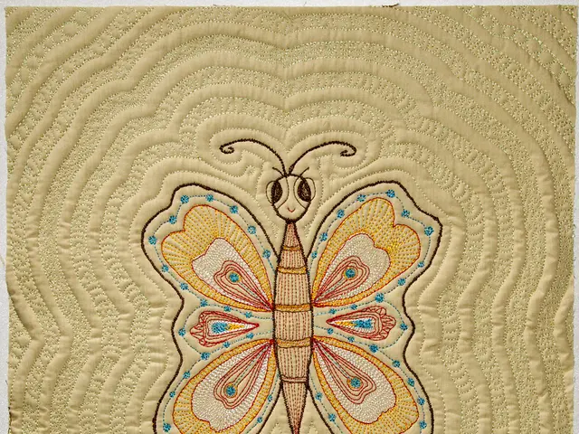 In this image we can see there is the cloth with butterfly design.