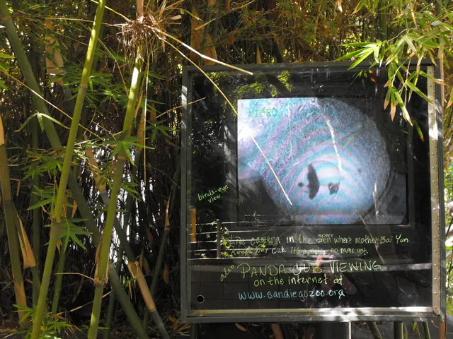 This image consists of so many trees. There is a board in the middle. There is something written on...