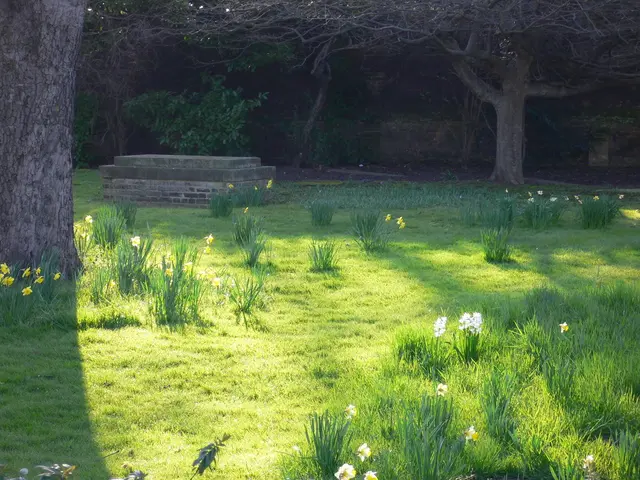 There is a garden and there are some beautiful flowers in between the garden, there are many trees...