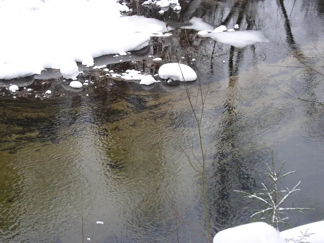 The image shows a small stream running through a snow covered forest, with the water reflecting the...