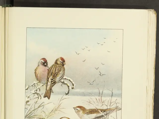 The image shows an open book with a drawing of three birds perched on a branch in the snow. The...