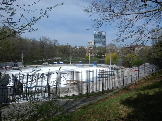 The image shows an ice rink in the middle of a park surrounded by a metal fence, grass, plants, a...
