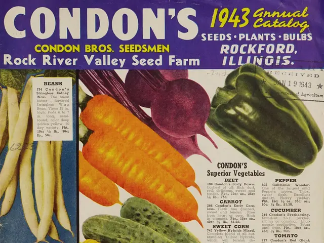 The image shows a book with a variety of vegetables on it, including corn, tomatoes, cucumbers,...