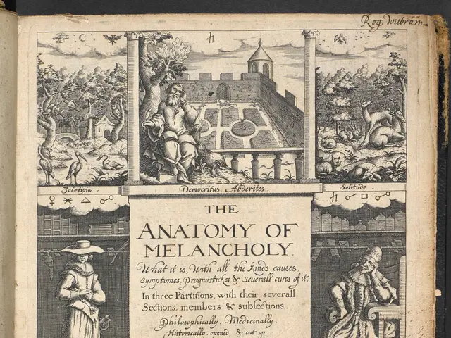 The image shows an open book with pictures and text on it, depicting the anatomy of melancholy. The...