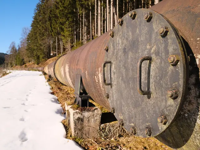 The image shows a large metal pipe sitting in the middle of a snowy field, surrounded by trees and...