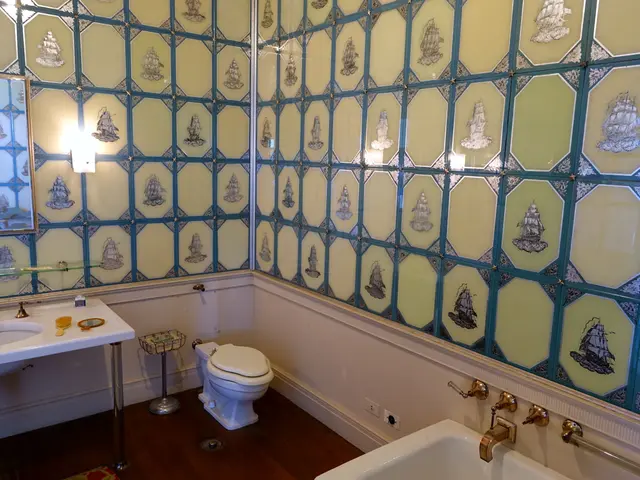 The image shows a bathroom with two sinks, a toilet, a bathtub, taps, a mirror, lights, a stand...