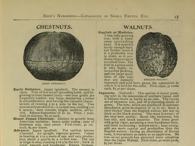 The image shows an old book with a variety of nuts on it, including chestnuts, walnuts, butternut,...