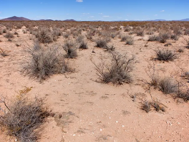 The image shows a desert landscape with sparse bushes in the foreground and mountains in the...