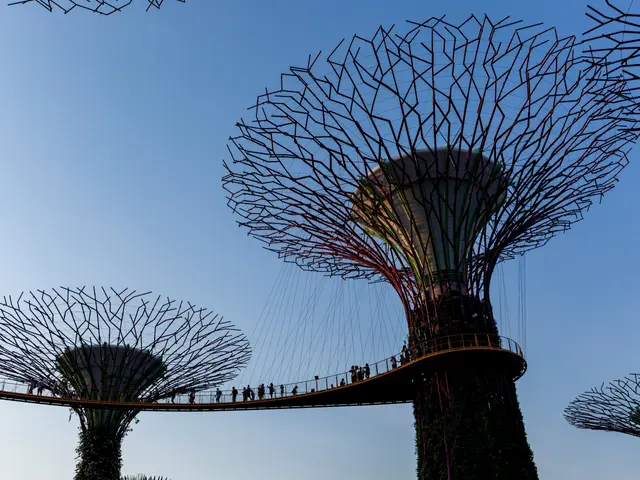 The image shows the Gardens by the Bay in Singapore, with its lush trees, a bridge with people...