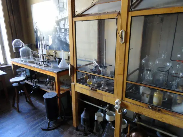 The image shows a room filled with lots of glassware, including glass jars, bottles, and other...