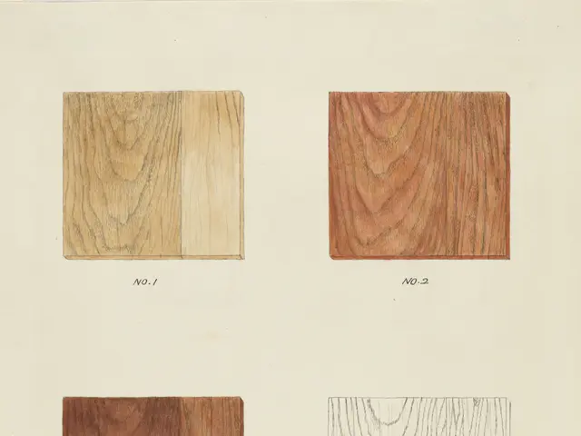 The image shows a page from a book with four different types of wood, each with its own unique...