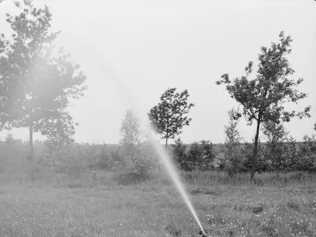 The image shows a black and white photo of a sprinkler in the middle of a field, with a pipe in the...