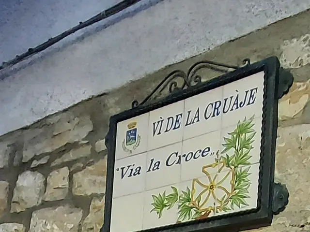 The image shows a houseplant with vibrant red flowers in a flowerpot attached to the side of a...