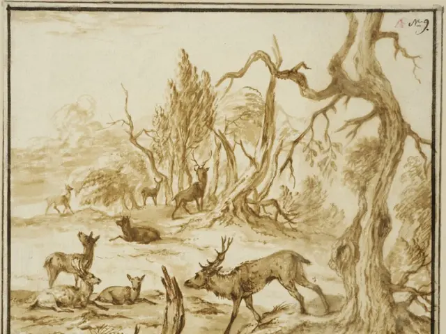 The image shows a wooded landscape with a herd of deer in the foreground, surrounded by trees and...