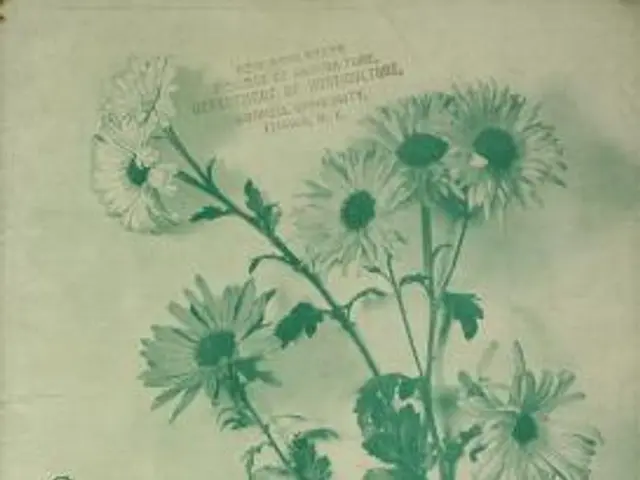 The image shows an old book with a picture of a plant with flowers and text on it. The text reads...