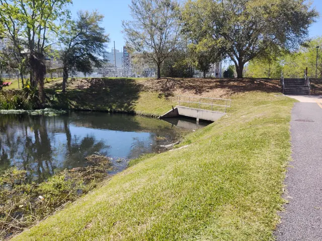 The image shows a small pond in the middle of a park next to a road, surrounded by lush green...