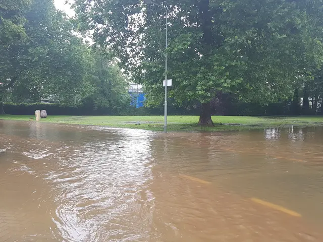 The image shows a flooded street in the middle of a park, with water covering the road, grass,...