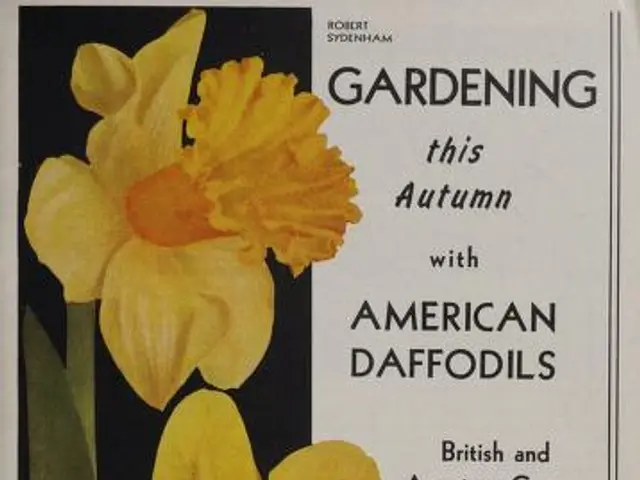 The image shows a book with a picture of yellow daffodils on it, along with text that reads...