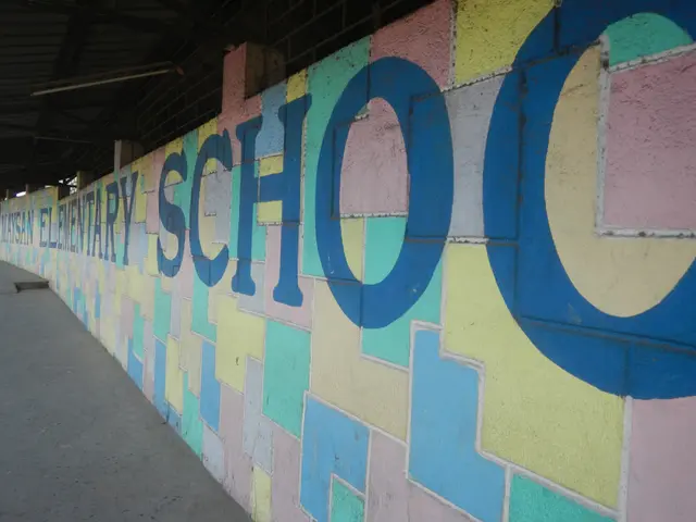 The image shows a colorful mural on the side of a building with the word "school" painted on it....