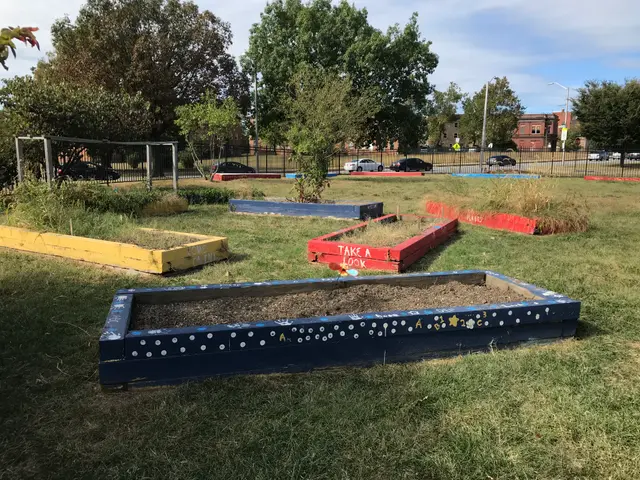 The image shows a group of raised beds in the middle of a grassy field, surrounded by trees, poles,...