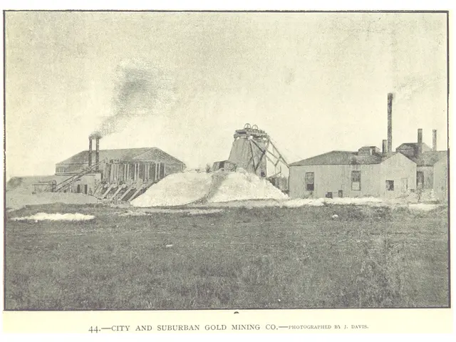 The image shows a black and white photo of a city and suburban gold mining company, with buildings,...