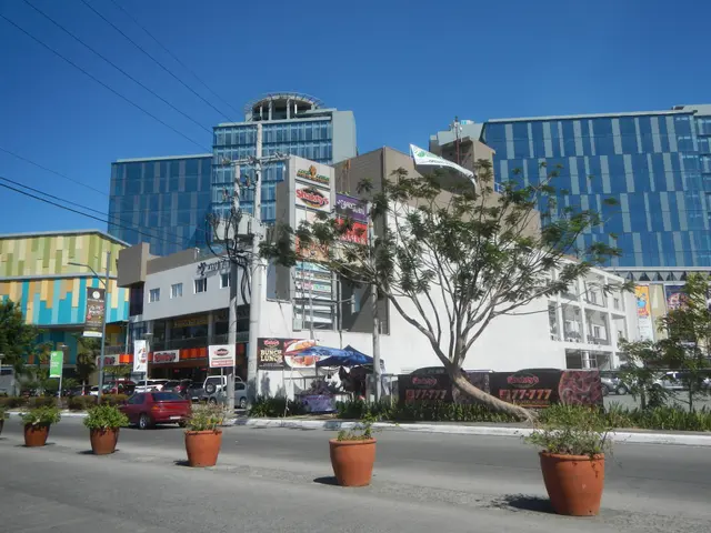 The image shows a city street with potted plants on the side of it, vehicles driving on the road,...