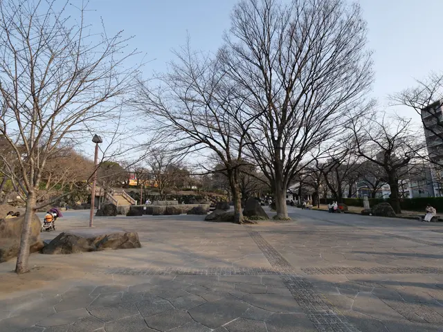 The image shows a park with a lot of trees in the middle of it, surrounded by buildings, street...