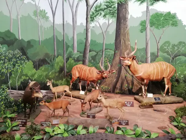 The image shows a group of animals on display in a museum, surrounded by plants, boards with text,...