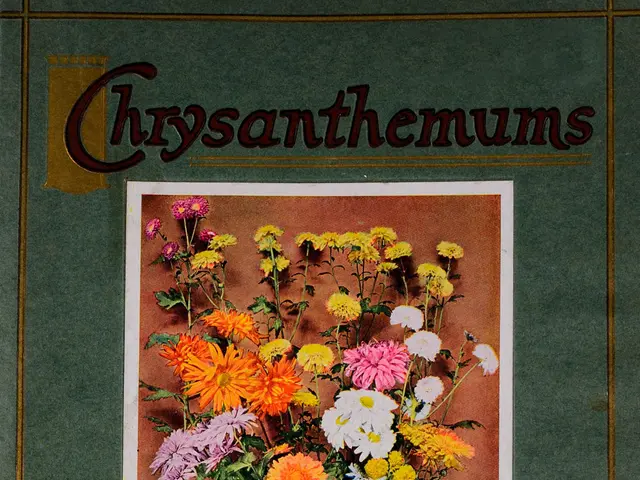 The image shows a book with a picture of chrysanthemums on the cover page and text that reads...