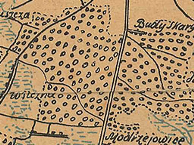 The image shows an old map of the city of Budapest, Hungary. It is a detailed map, showing the...