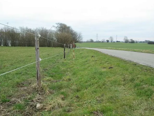 The image shows a grassy field with a fence in the middle of it, surrounded by trees and poles,...
