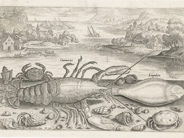 The image shows a black and white engraving of a lobster and other seafood on a beach, surrounded...