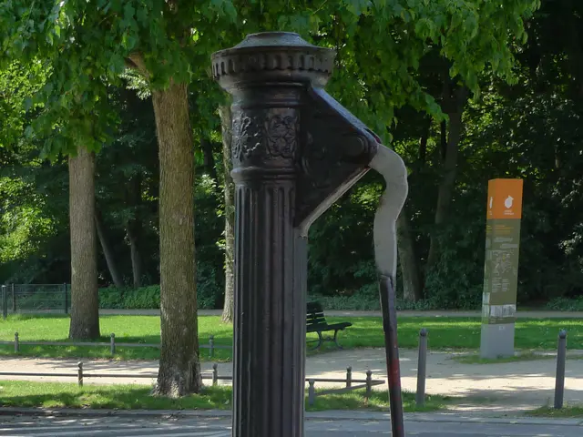 The image shows an old fashioned water pump in the middle of a park, surrounded by a road, grass, a...