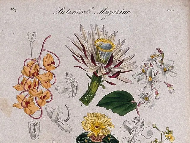 The image shows a botanical magazine with a variety of flowers and plants on it. The paper is...