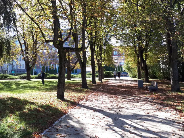 The image shows a park with a path lined with trees and leaves on the ground. There are people...