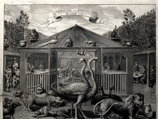 The image shows an old book with a drawing of a zoo scene featuring a variety of animals, including...