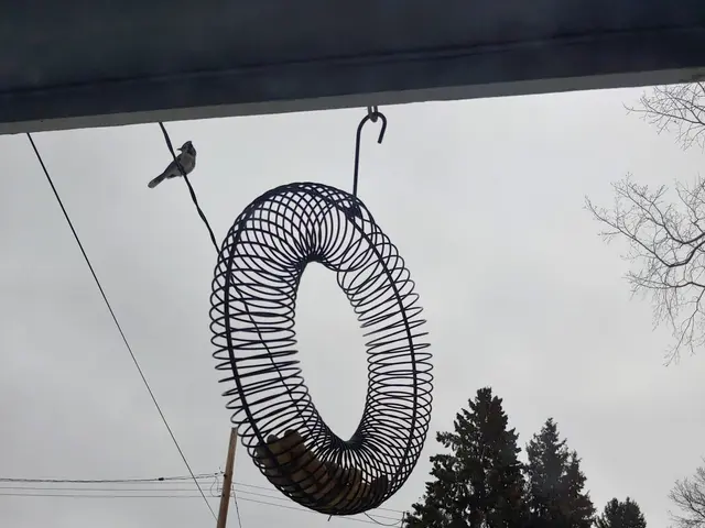 The image shows a bird feeder hanging from the side of a house, surrounded by grass and snow on the...